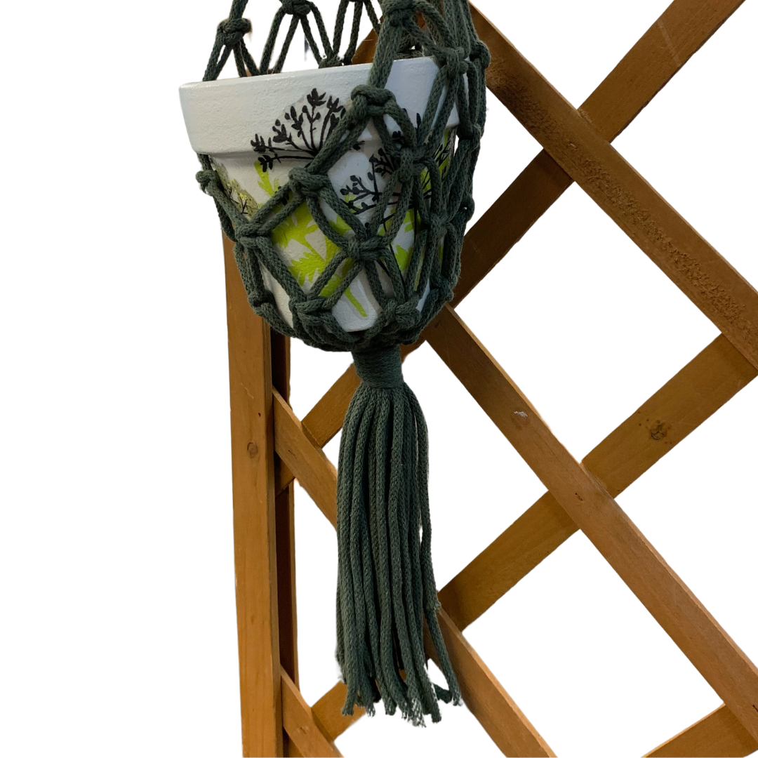 Macramé Net Hanging Plant Holder