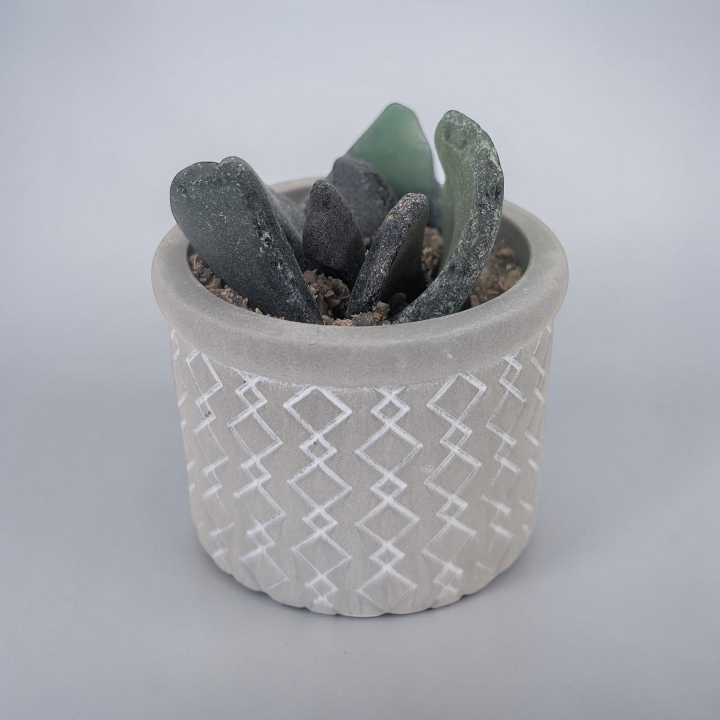 Sea Glass Succulent | Shoreline Designs