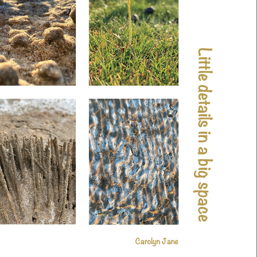 Middleton Sands Poster
