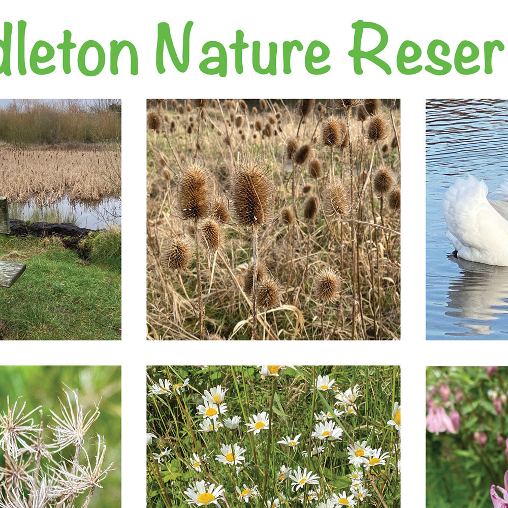 Middleton Nature Reserve Poster