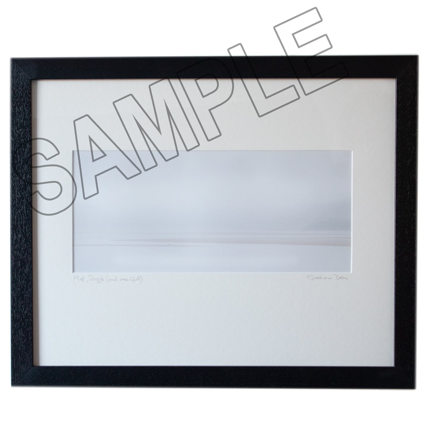 Framed Archival Prints