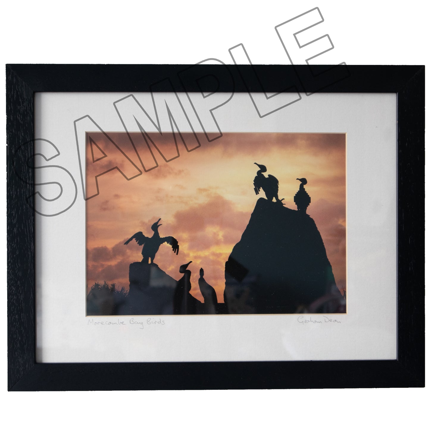 Framed Archival Prints