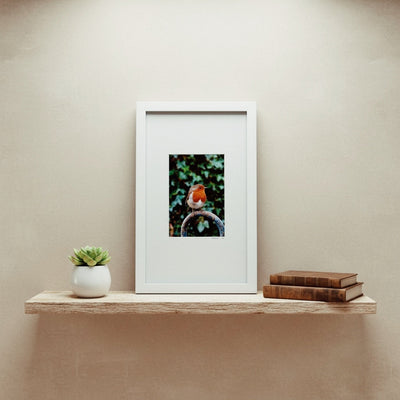 Framed