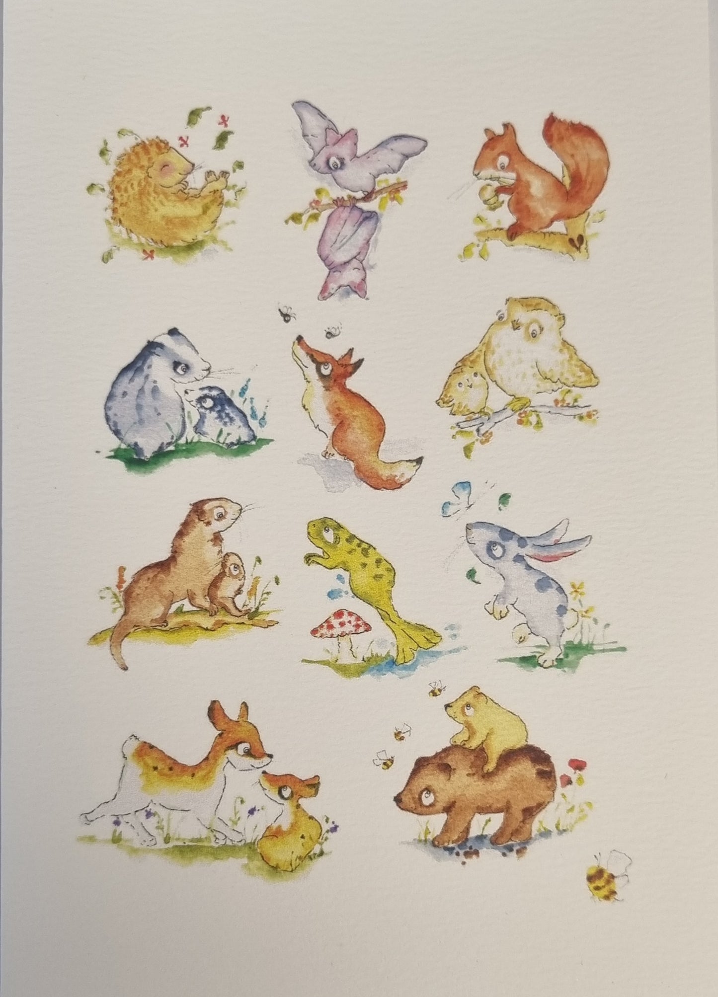 Monkey Boo Cards - Wildlife