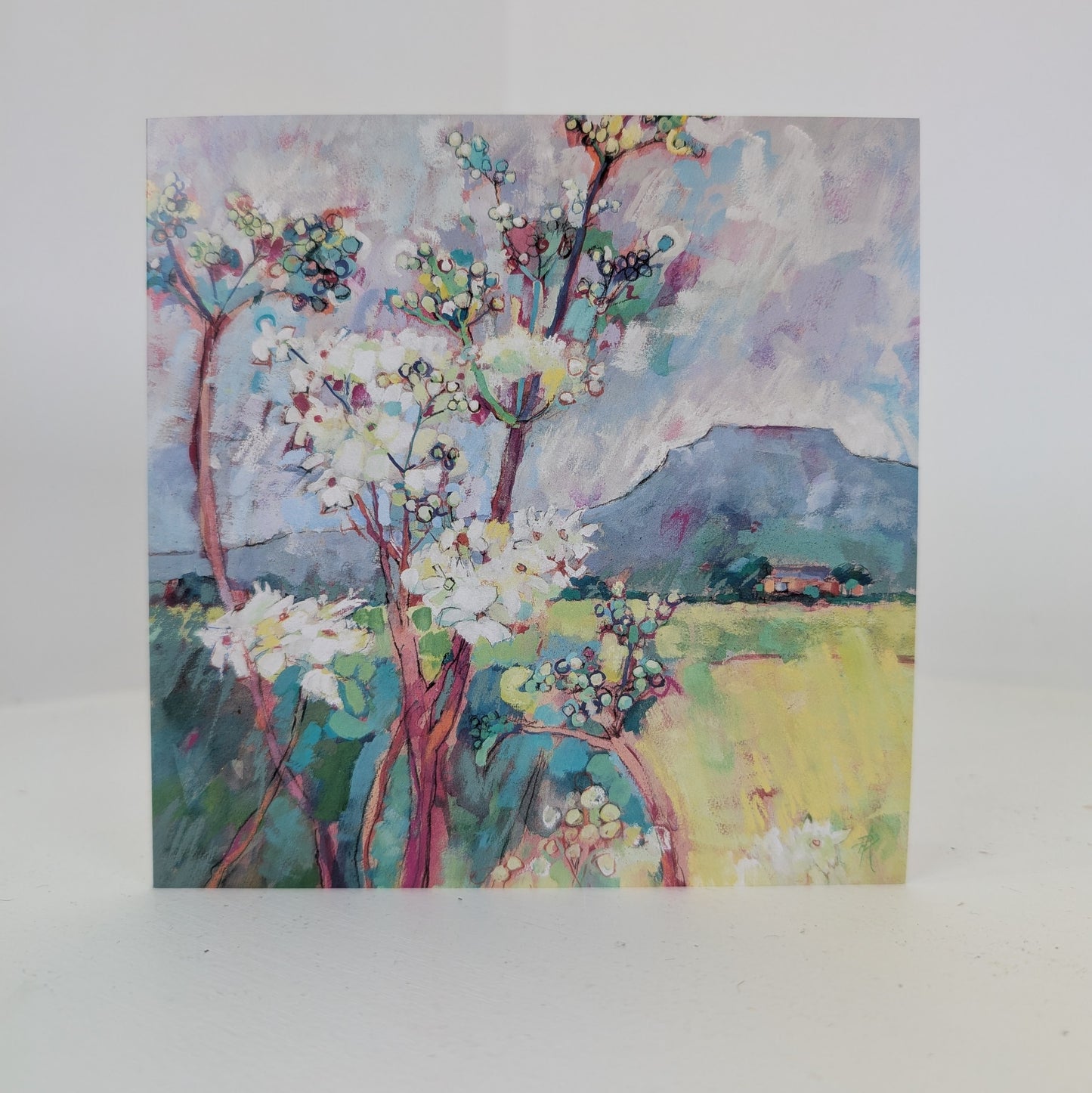 Printed Cards from Originals Local Scenes by Patricia Haskey