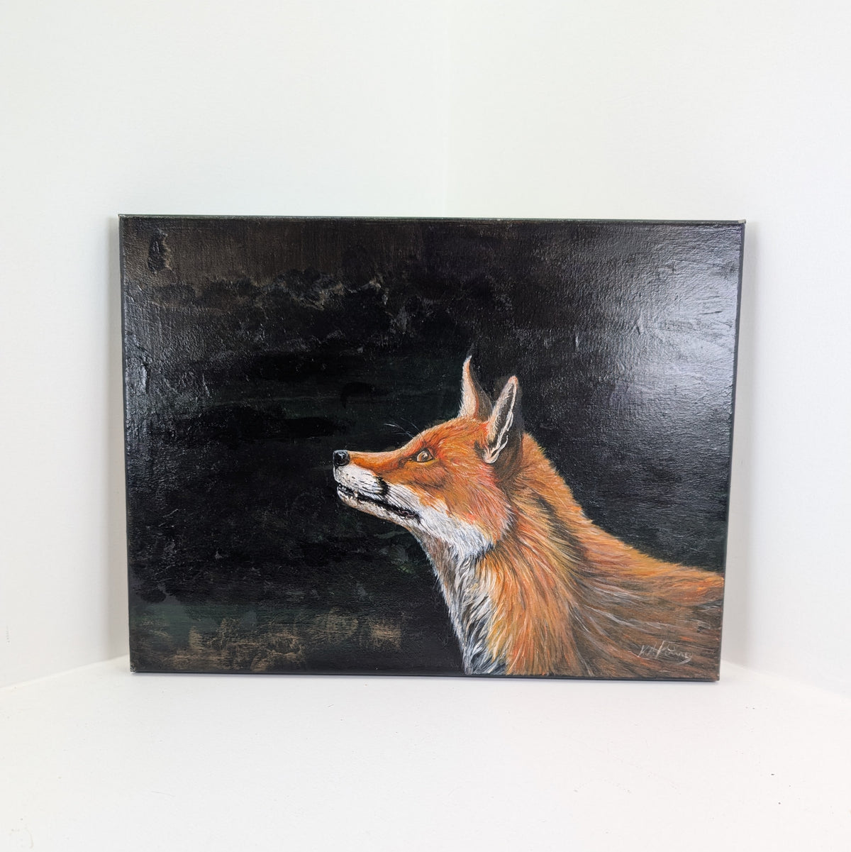 Wildlife Acrylic Originals on Canvas