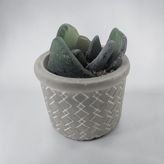 Sea Glass Succulent | Shoreline Designs