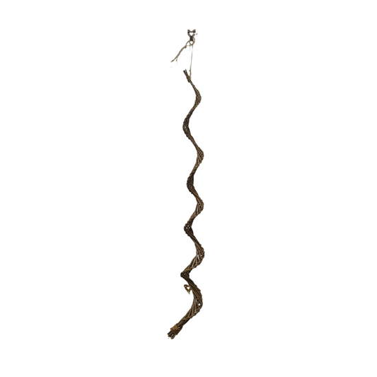 Hanging Willow Spiral