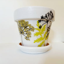Load image into Gallery viewer, &quot; Floral Seed head&quot; plant pot
