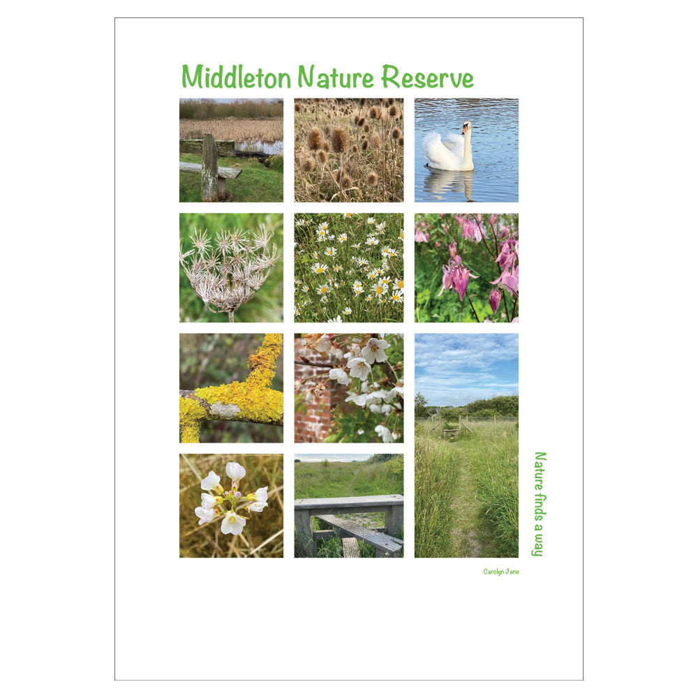 "Middleton Nature Reserve Poster"