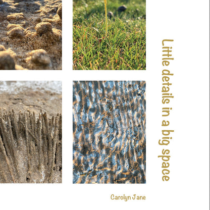 Middleton Sands Poster