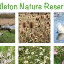 Load image into Gallery viewer, &quot;Middleton Nature Reserve Poster&quot;

