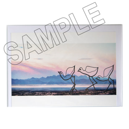 Scenic Jumbo Postcards Greeting Card Blank