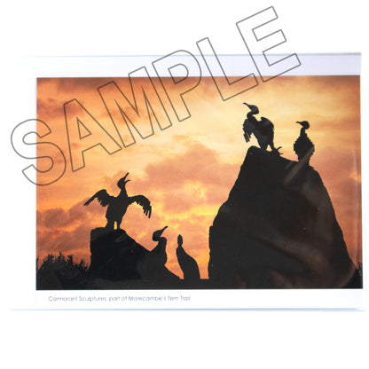 Scenic Jumbo Postcards Greeting Card Blank